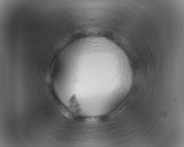 X0000073990335200609181749