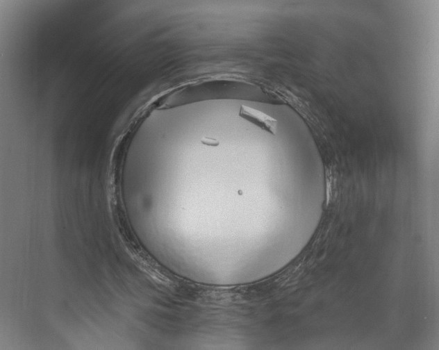 X0000073990339200609181748