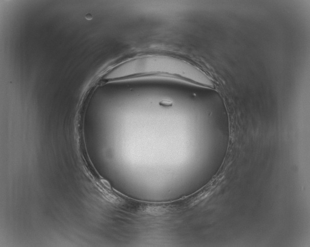 X0000073990341200609181748