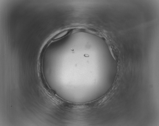 X0000073990342200609181748