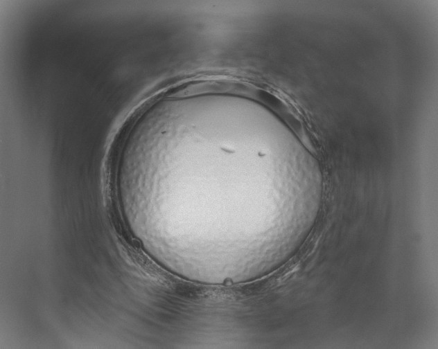 X0000073990343200609181748