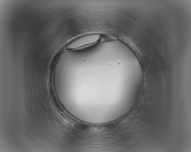 X0000073990346200609181748