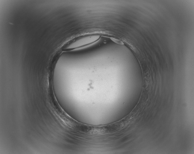 X0000073990350200609181748