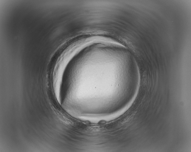 X0000073990351200609181748