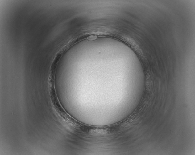 X0000073990354200609181748