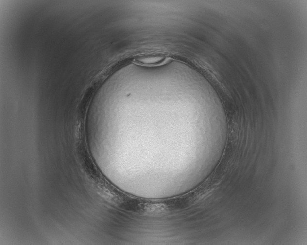 X0000073990355200609181748