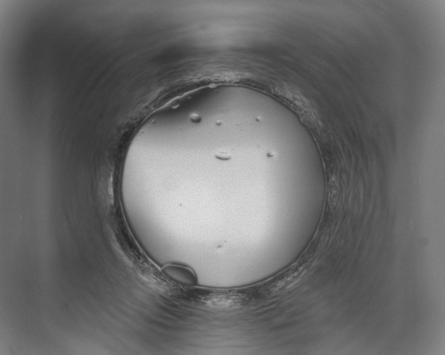 X0000073990358200609181748