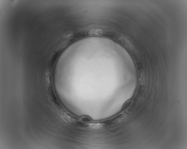 X0000073990363200609181748