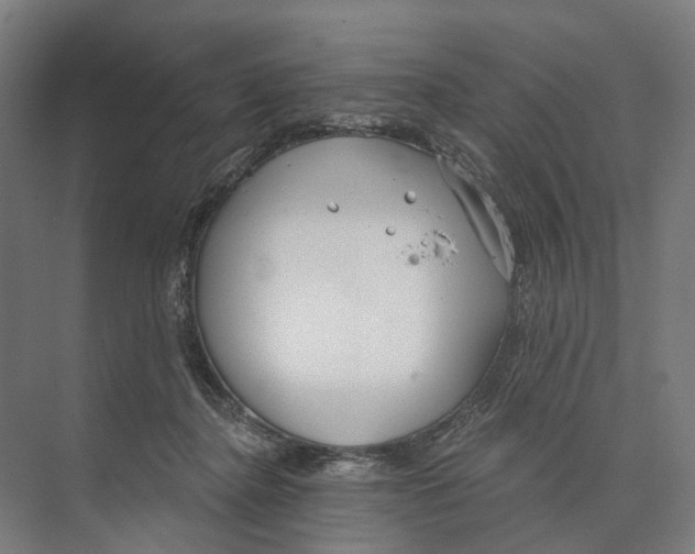 X0000073990364200609181748