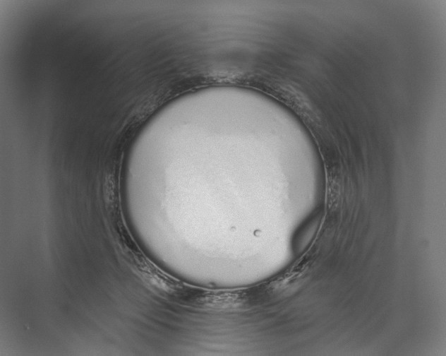 X0000073990365200609181748