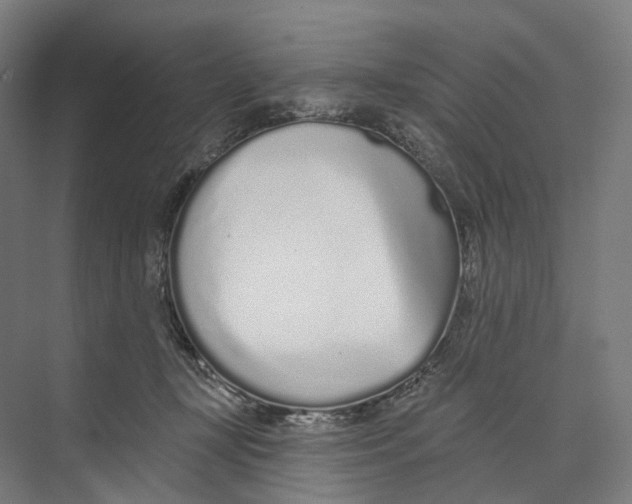 X0000073990367200609181748