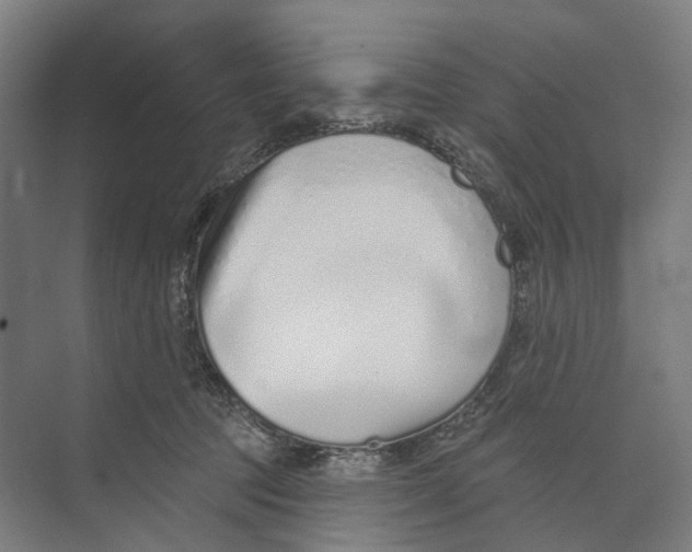 X0000073990369200609181748