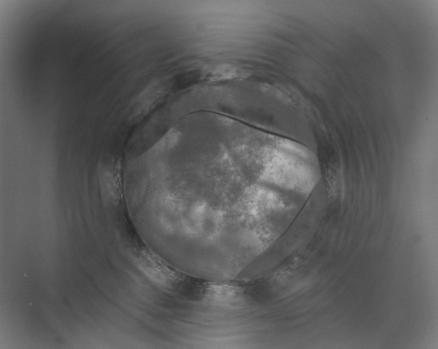 X0000073990376200609181748