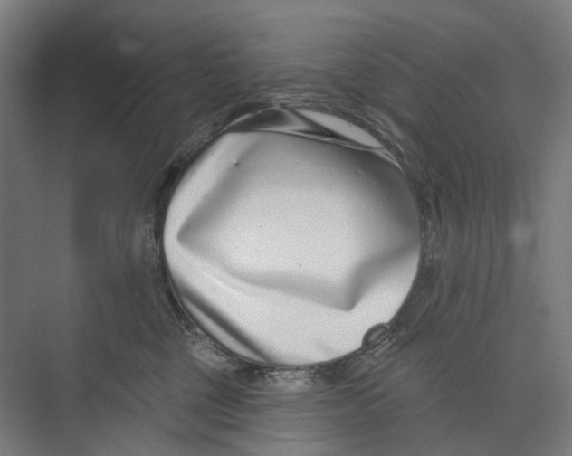 X0000073990377200609181748