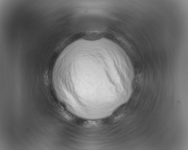 X0000073990381200609181749