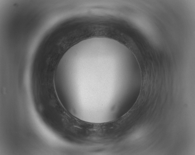 X0000073990383200609181749