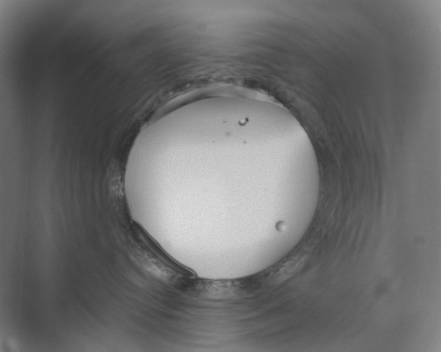 X0000073990384200609181749