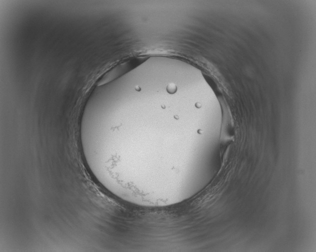 X0000073990385200609181748