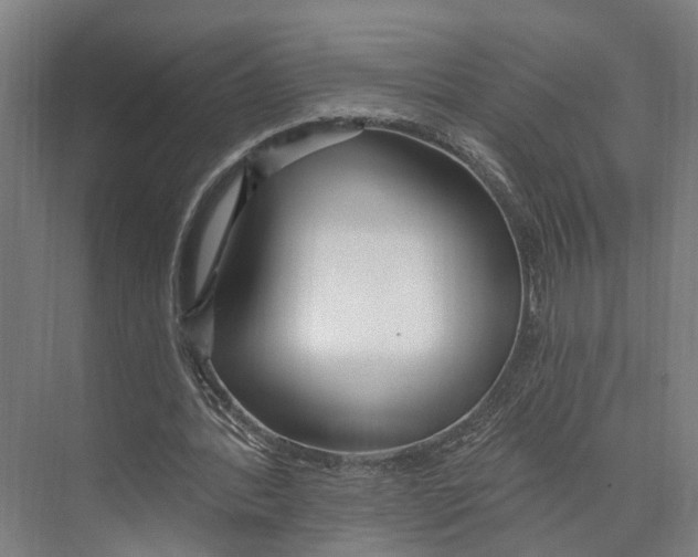 X0000073990388200609181748