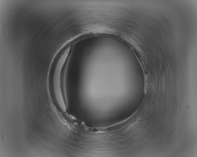 X0000073990391200609181748