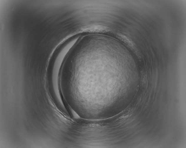 X0000073990392200609181748