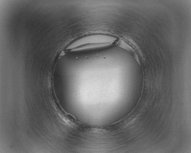 X0000073990393200609181748