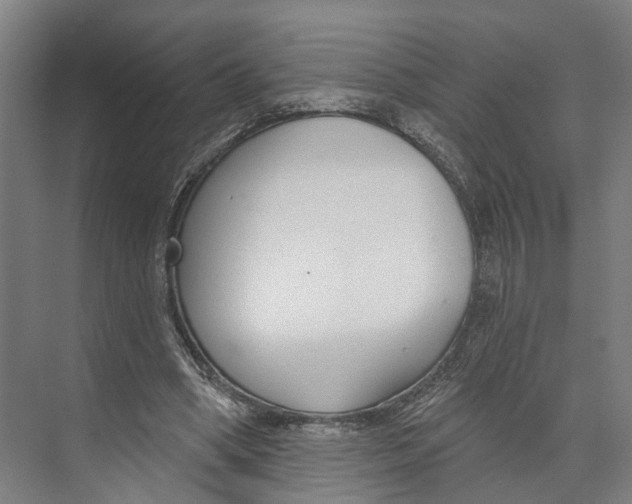 X0000073990394200609181748