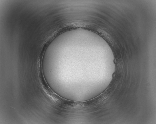 X0000073990398200609181748