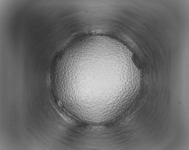 X0000073990401200609181748