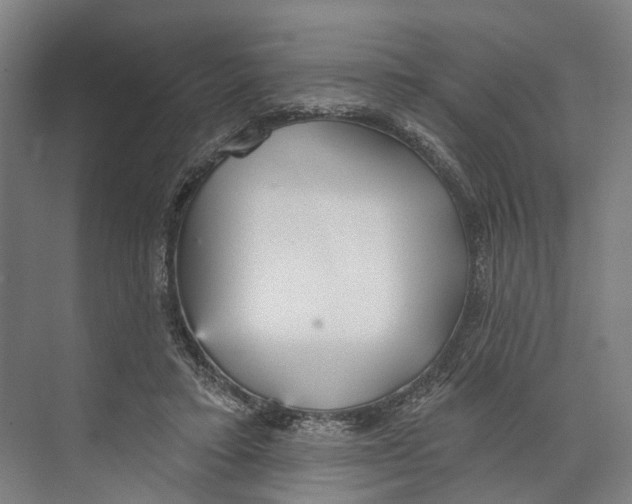 X0000073990403200609181747