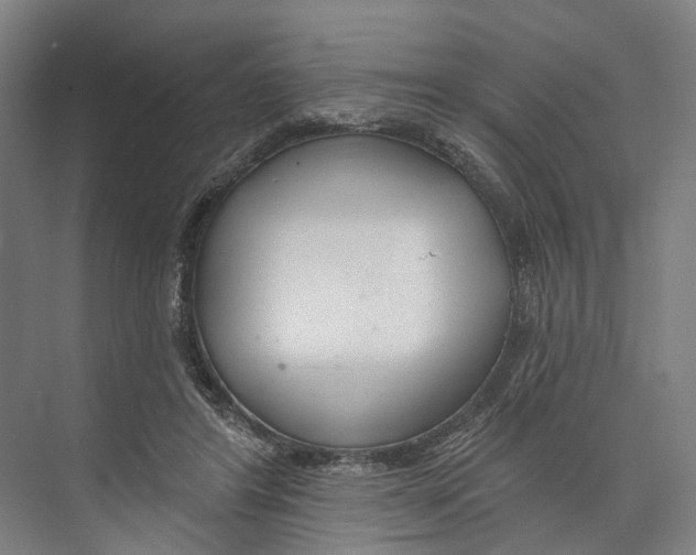 X0000073990404200609181747