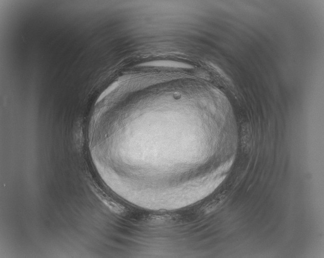 X0000073990405200609181747