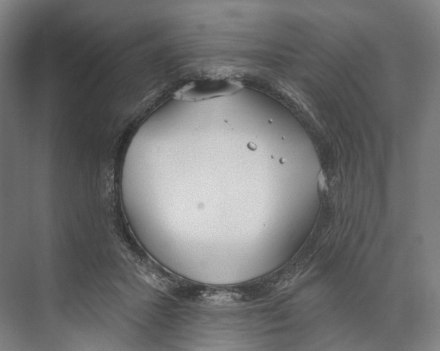 X0000073990407200609181747