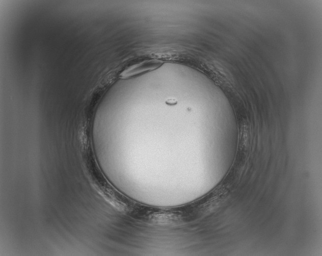 X0000073990408200609181747