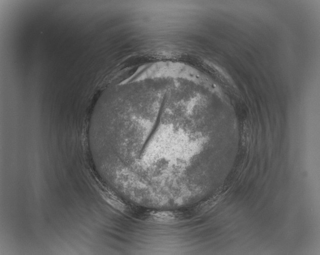 X0000073990409200609181747