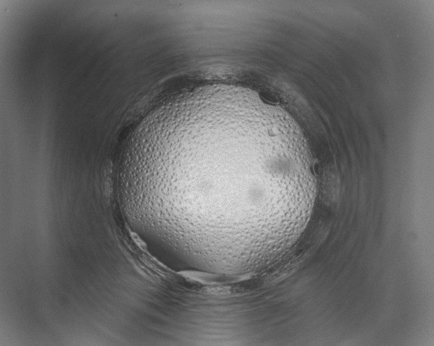 X0000073990413200609181747