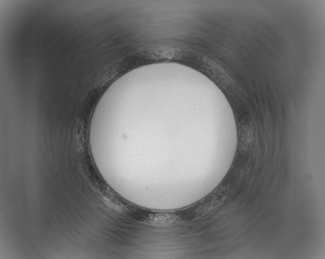 X0000073990414200609181747