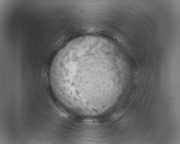 X0000073990415200609181747