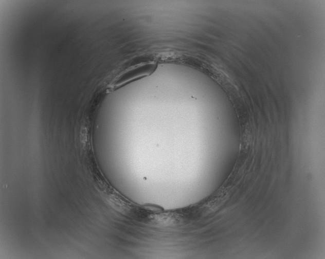 X0000073990417200609181747