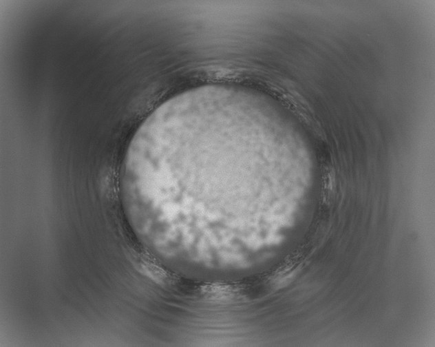 X0000073990419200609181747