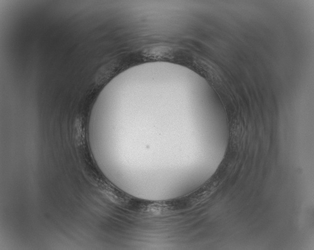 X0000073990420200609181747