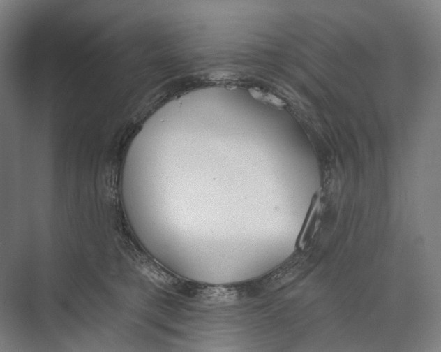 X0000073990421200609181747