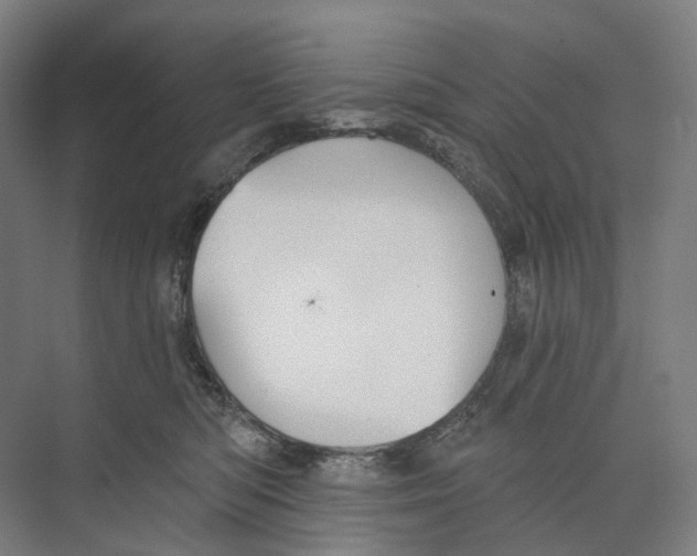 X0000073990422200609181747