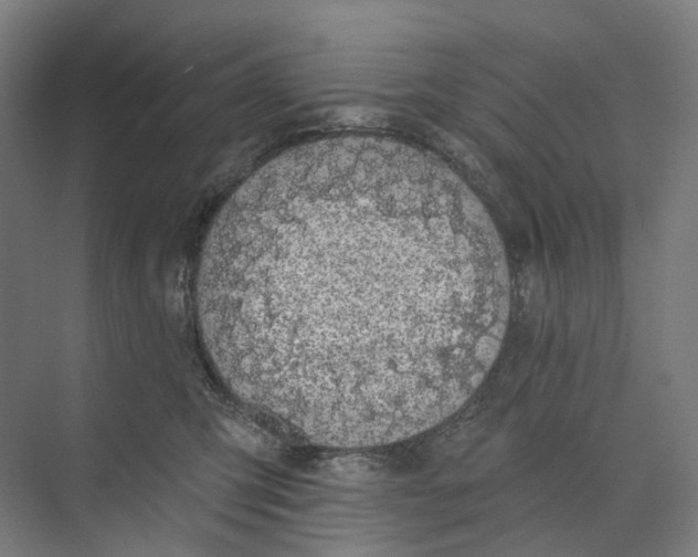 X0000073990423200609181747