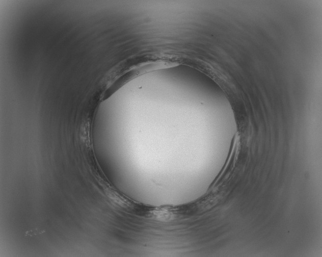 X0000073990425200609181747