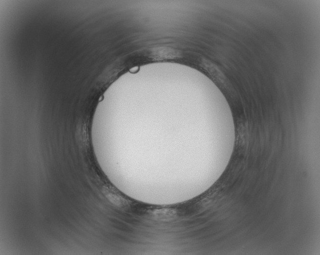 X0000073990426200609181747