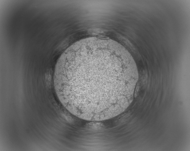 X0000073990427200609181747