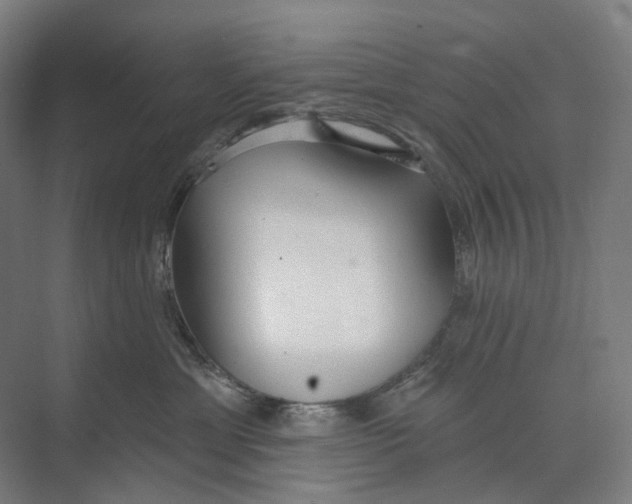 X0000073990429200609181747