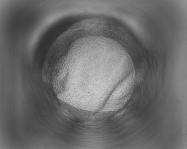 X0000073990431200609181747