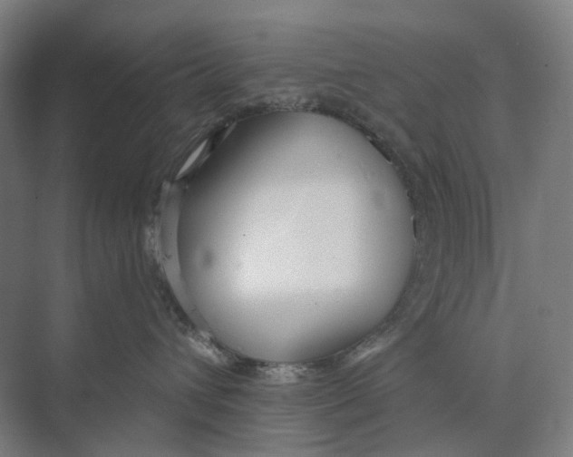 X0000073990432200609181747